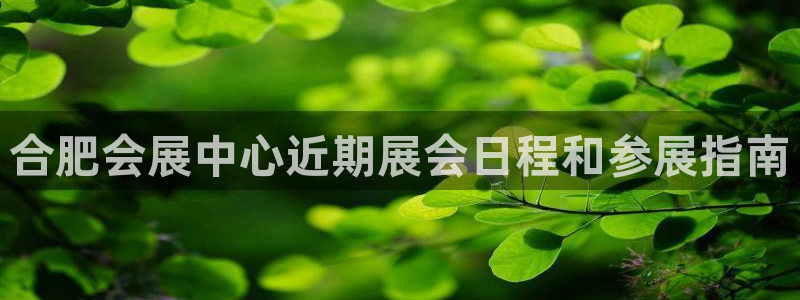 手机怎样下载果博：合肥会展中心近期展会日程和参展指南
