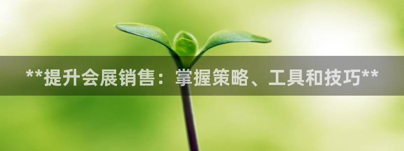 果搏代理：**提升会展销售：掌握策略、工具和技巧**