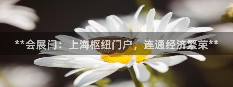 果博怎么注册账号和密码：**会展门：上海枢纽门户，连通经济繁荣**