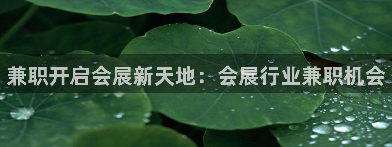 果博公司开户：兼职开启会展新天地：会展行业兼职机会