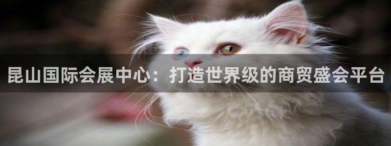 果博是怎么登录的：昆山国际会展中心：打造世界级的商贸盛会平台