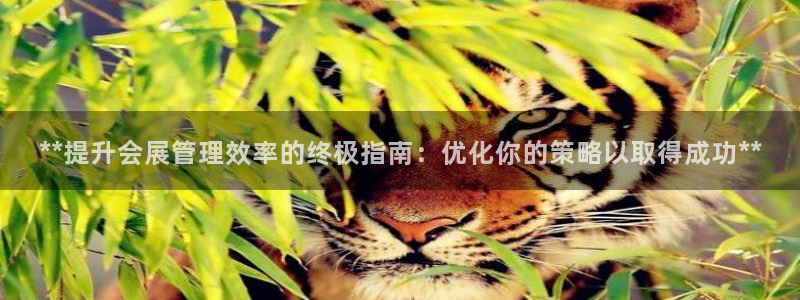 果博平台苹果电脑怎么下载：**提升会展管理效率的终极指南：优化你的策略以取得成功**