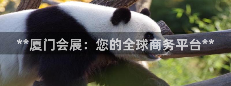 果博公司怎么开户：**厦门会展：您的全球商务平台**