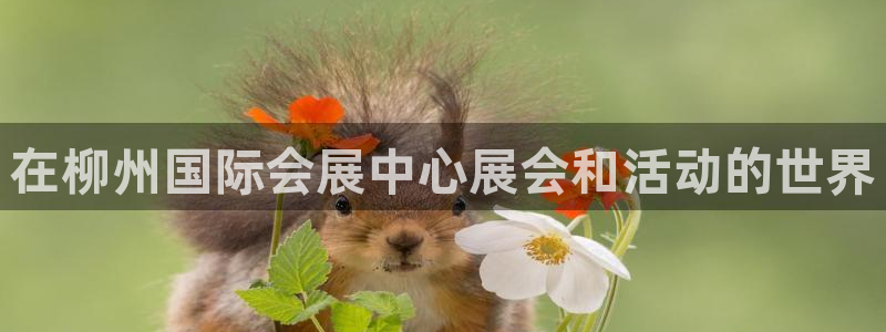 果博公司怎么注册会员：在柳州国际会展中心