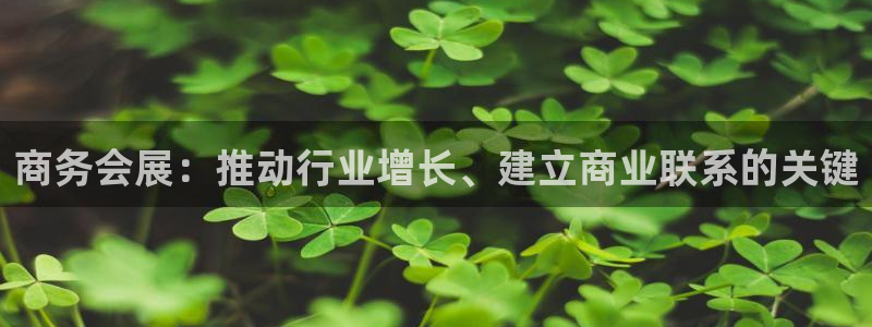 果博注册客服电话：商务会展：推动行业增长、建立商业联系的关键