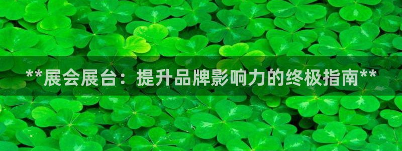 果博公司怎么开户：**展会展台：提升品牌影响力的终极指南**