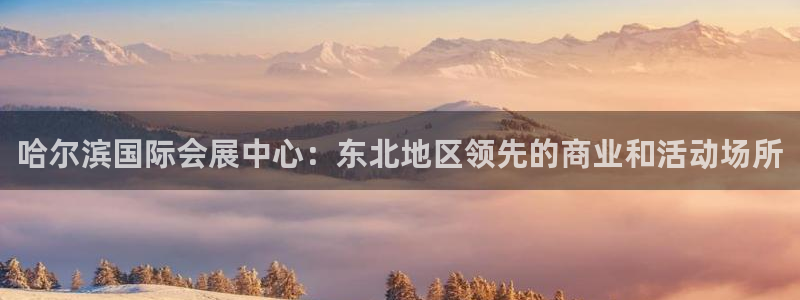 果博怎么注册账号和密码：哈尔滨国际会展中心：东北地区领先的商业和活动场所