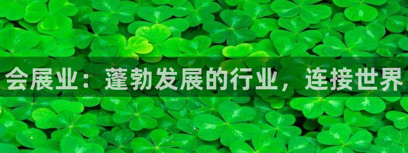 果博公司上分客服