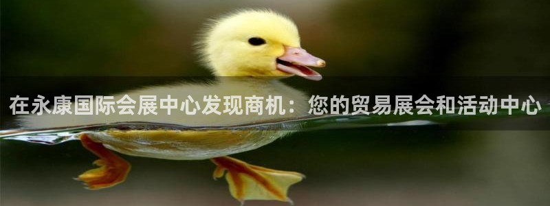 果博手机下载网址：在永康国际会展中心发现商机：您的贸易展会和活动中心