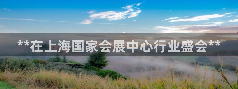 果博注册平台怎么注册：**在上海国家会展中心行业盛会**