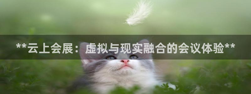 果博平台真实吗知乎推荐：**云上会展：虚拟与现实融合的会议体验**