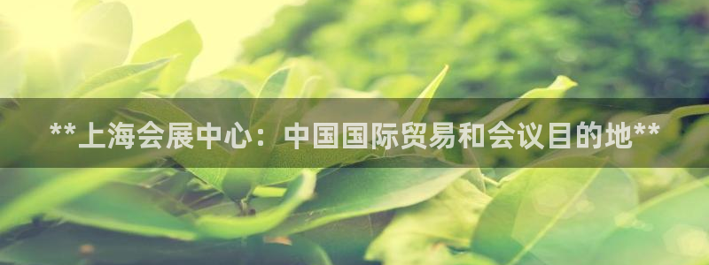 果博园简介：**上海会展中心：中国国际贸易和会议目的地**
