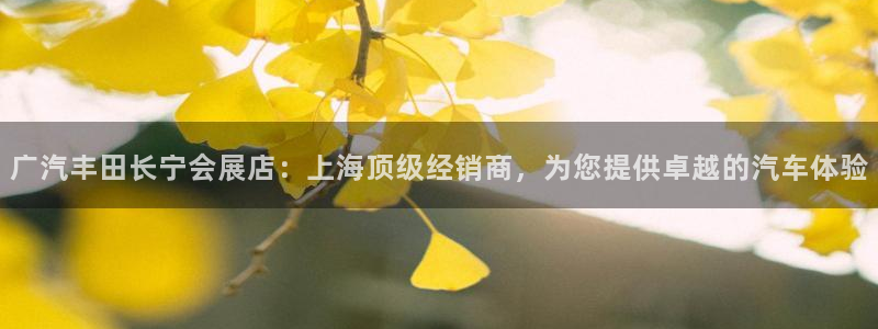 果博注册充值多少钱：广汽丰田长宁会展店：上海顶级经销商，为您提供卓越的汽车体验