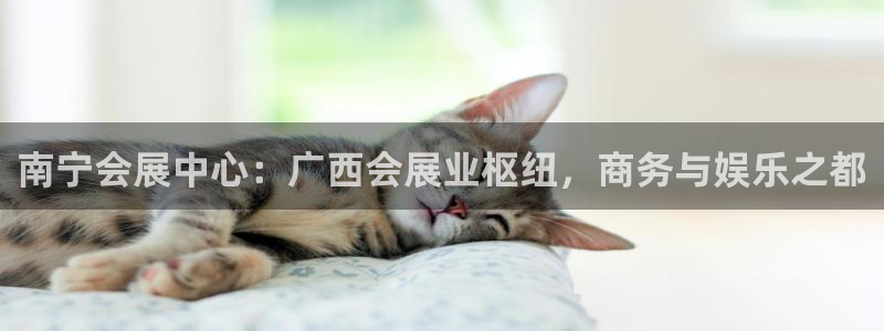 果博手机版下载：南宁会展中心：广西会展业枢纽，商务与娱乐之都