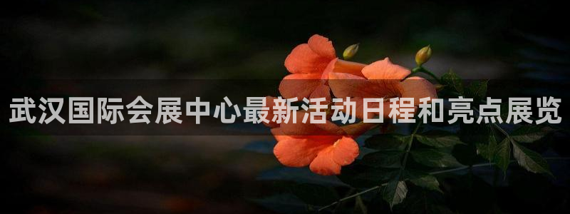 果博gbe168：武汉国际会展中心最新活