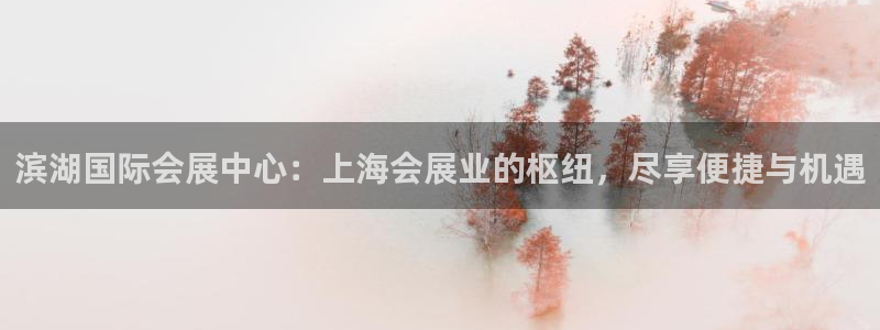 苹果电脑可以下载博易大师吗：滨湖国际会展中心：上海会展业的枢纽，尽享便捷与机遇