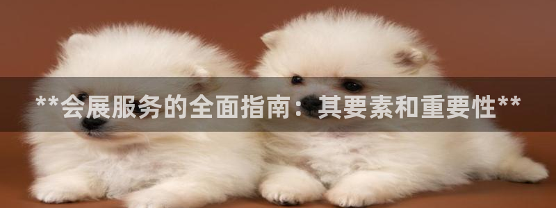 果博平台真实吗安全吗可信吗可靠吗：**会展服务的全面指南：其要素和重要性**