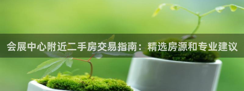 果博有假吗：会展中心附近二手房交易指南：