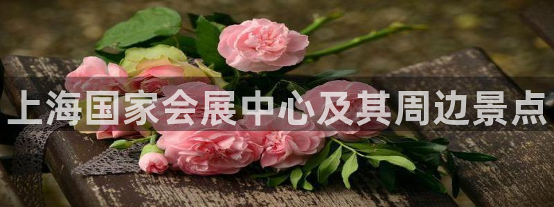 果博公司客服联系方式：上海国家会展中心及其周边景点