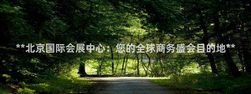 果博手机版下载：**北京国际会展中心：您的全球商务盛会目的地**