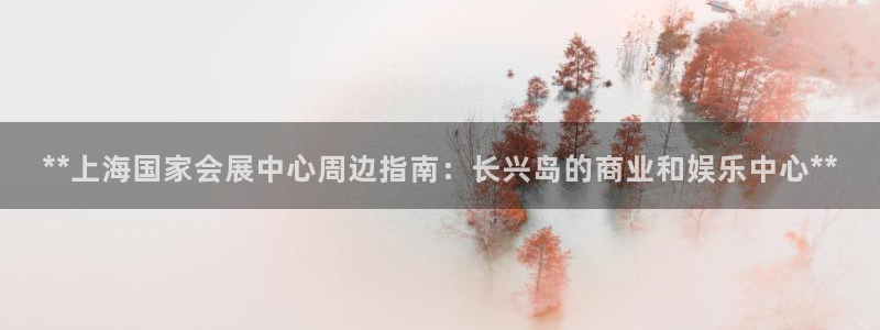 果博环保官网：**上海国家会展中心周边指南：长兴岛的商业和娱乐中心**