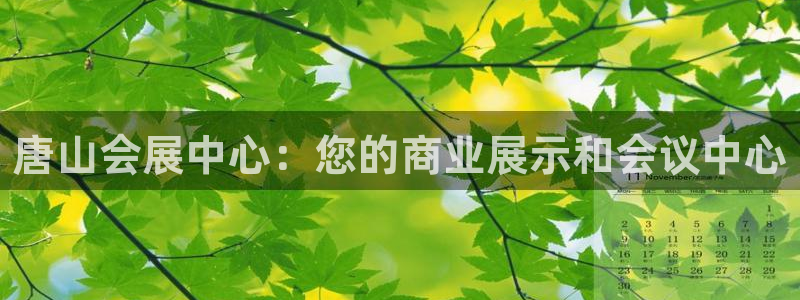 果博平台真实吗安全吗可信吗可靠吗：唐山会展中心：您的商业展示和会议中心