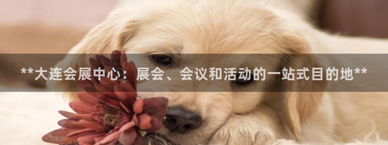 果博客服电话哪里找啊：**大连会展中心：展会、会议和活动的一站式目的地**
