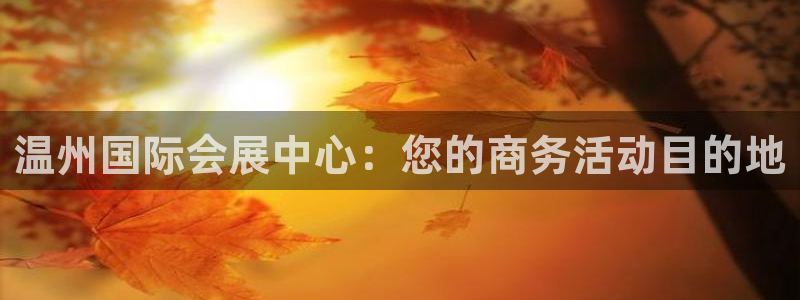 果博管理网：温州国际会展中心：您的商务活动目的地
