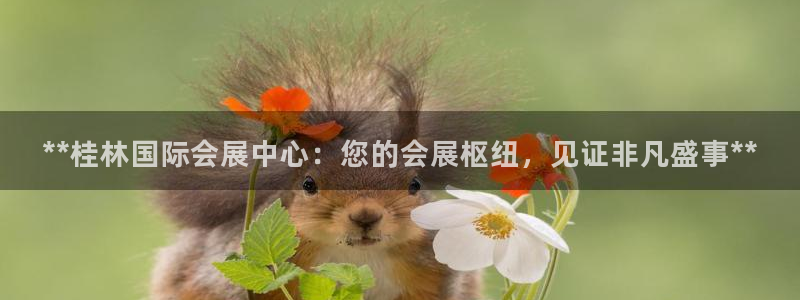 果博平台苹果电脑怎么下载：**桂林国际会展中心：您的会展枢纽，见证非凡盛事**