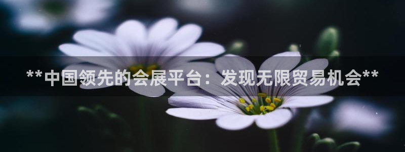 果博平台开户电话号码：**中国领先的会展平台：发现无限贸易机会**