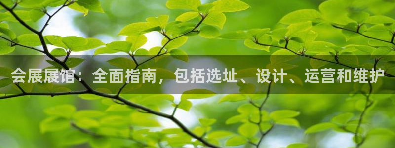 下载果博博东方：会展展馆：全面指南，包括选址、设计、运营和维护