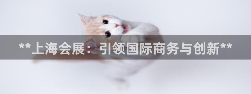 果博平台真实吗知乎推荐：**上海会展：引领国际商务与创新**