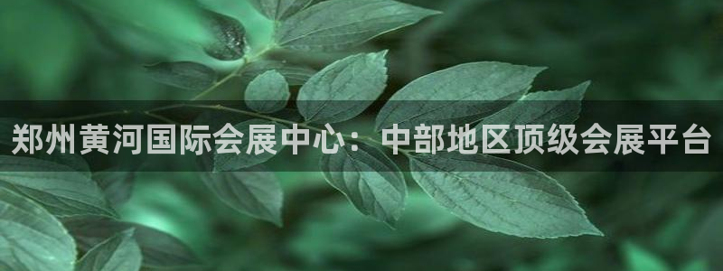 果博注册平台怎么注册账号：郑州黄河国际会