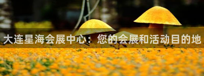 果博代理怎么注册：大连星海会展中心：您的