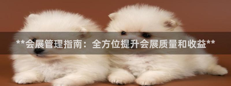 果博客服微信是多少：**会展管理指南：全方位提升会展质量和收益**