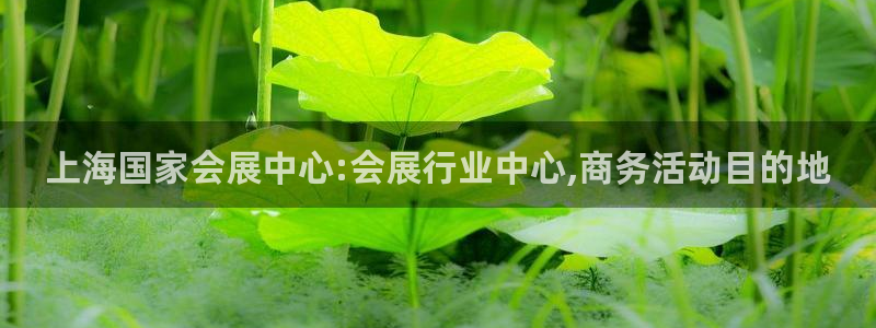 果博官网客服电话号码：上海国家会展中心:会展行业中心,商务活动目的地