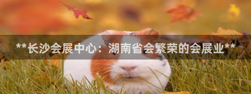 果博平台真实吗安全吗是真的吗：**长沙会展中心：湖南省会繁荣的会展业**