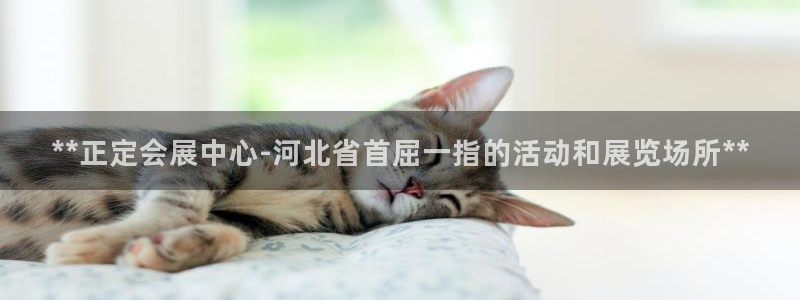 果博注册电话：**正定会展中心-河北省首屈一指的活动和展览场所**