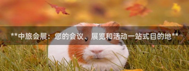 果博注册客服电话号码：**中旅会展：您的会议、展览和活动一站式目的地**