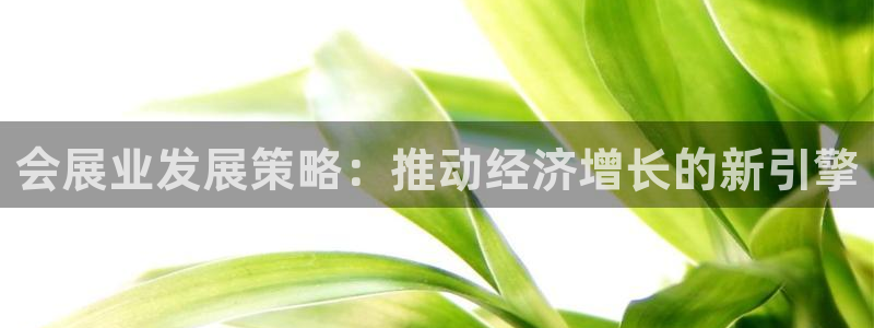 果博公司直属会员开户：会展业发展策略：推