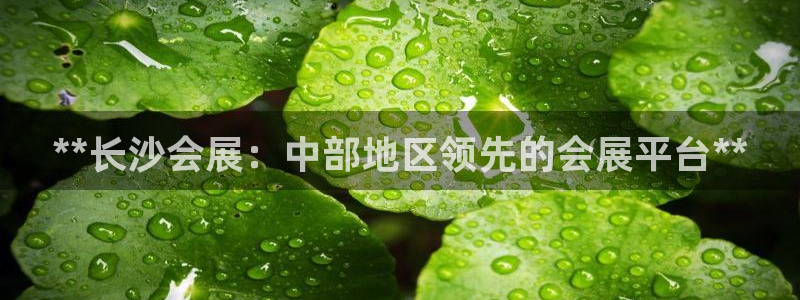 果博服务电话：**长沙会展：中部地区领先的会展平台**