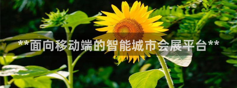 果博平台真实吗安全吗可信吗可靠吗：**面向移动端的智能城市会展平台**