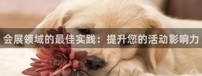 果博平台真实吗安全吗是真的吗：会展领域的最佳实践：提升您的活动影响力