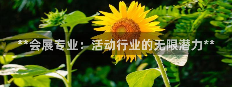 果博平台真实吗知乎：**会展专业：活动行业的无限潜力**