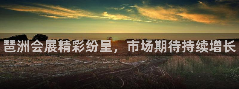 果博有假吗：琶洲会展精彩纷呈，市场期待持续增长