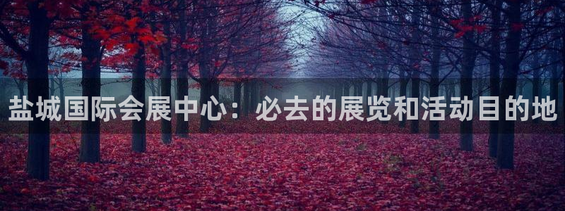 果博注册账号链接：盐城国际会展中心：必去的展览和活动目的地