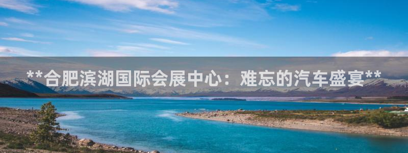 果博代理电话多少：**合肥滨湖国际会展中心：难忘的汽车盛宴**