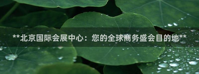 果博注册平台：**北京国际会展中心：您的全球商务盛会目的地**