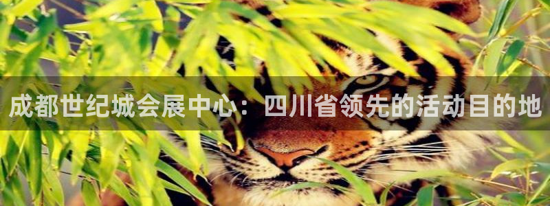 果博账号注册要钱吗：成都世纪城会展中心：四川省领先的活动目的地
