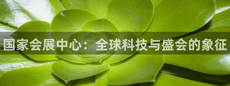 果博平台开户电话是多少：国家会展中心：全